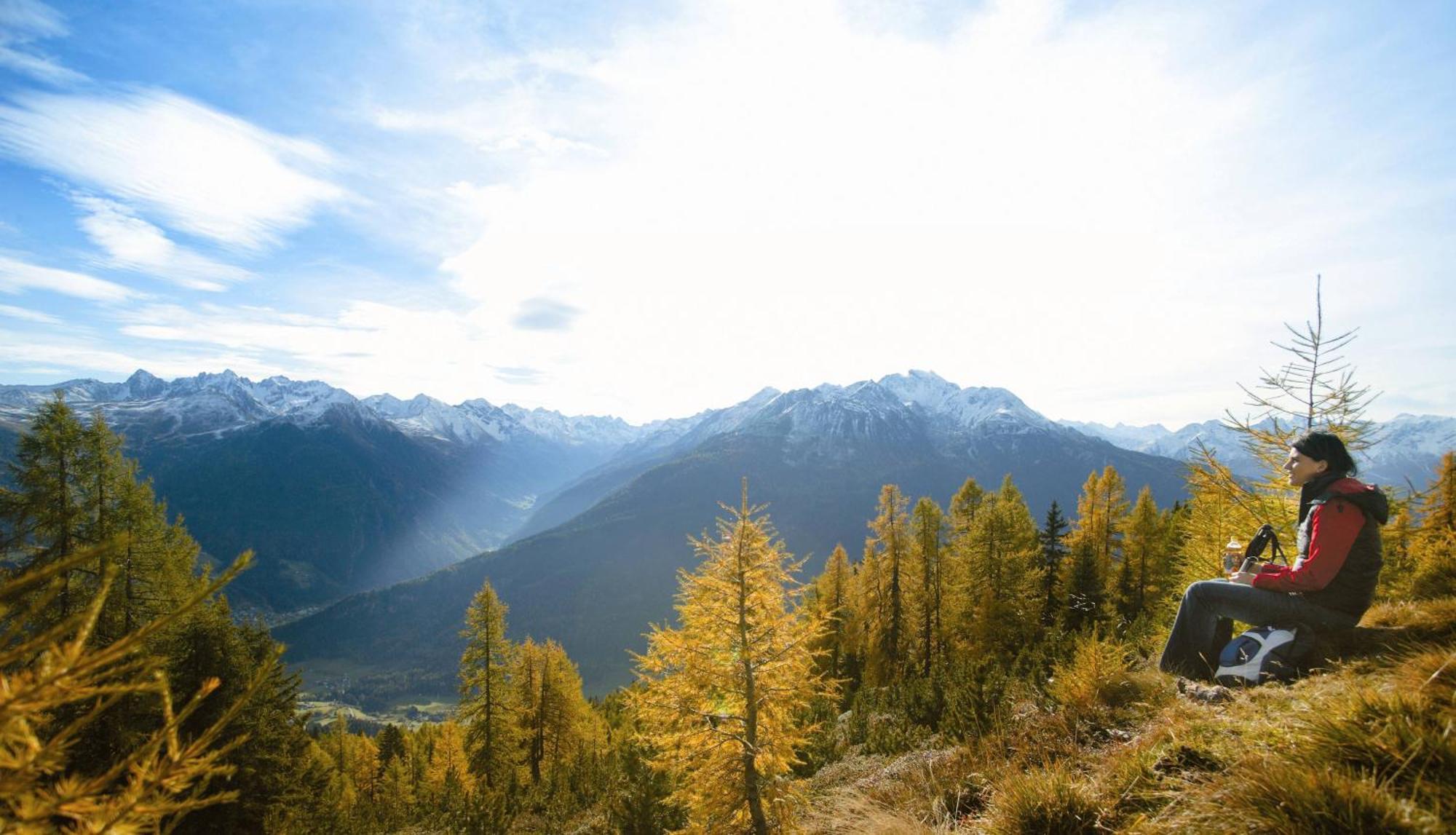 Hotel Alpina Nature-Wellness فينس المظهر الخارجي الصورة